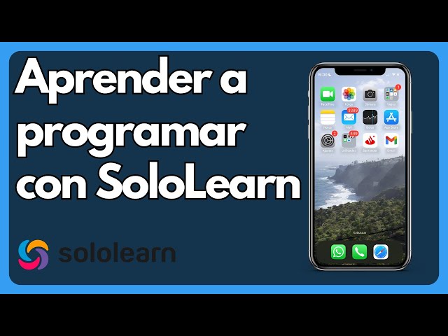 How to Learn Programming with SoloLearn on Your Phone