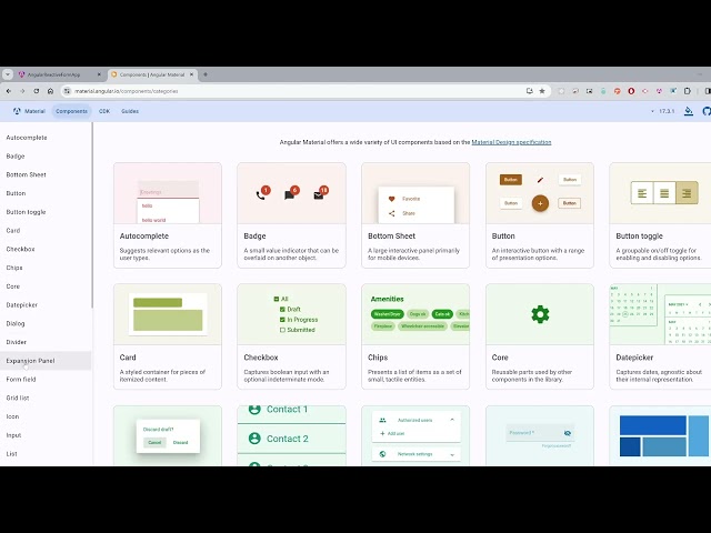 Angular 17  - Reactive Form - Conditional Form