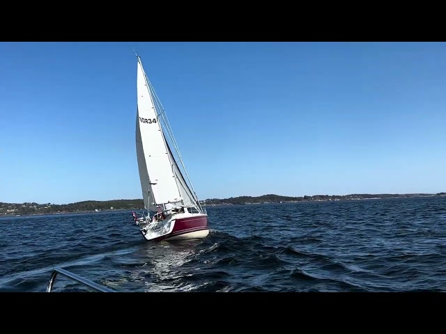 Sirius Yachts 310DS Code 0