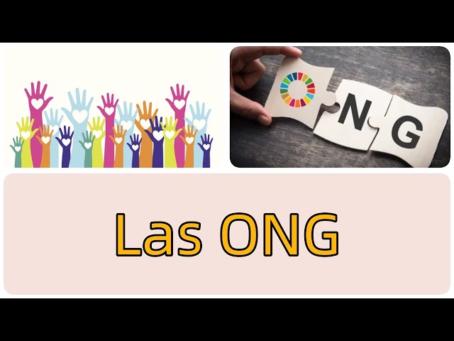📒｜Las ONG｜✅ Resumen- Fácil de entender｜Ideas claves｜NotasClaras