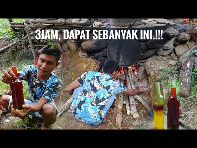 Cara penyulingan minyak nilam, pengambilan minyak nilam