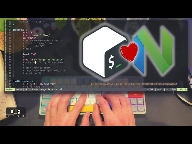 Create BULLET PROOF Shell Scripts with ShellCheck and Neovim!