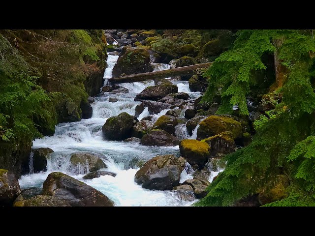🥾 West Fork Foss River Trail | Best Waterfall Views in WA