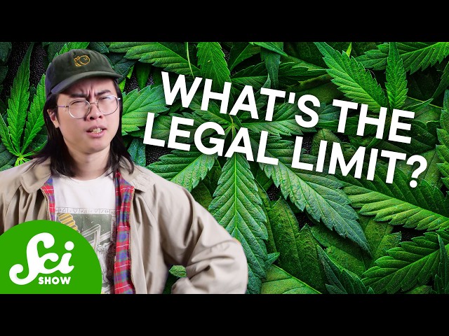 Why We Can’t Find a Legal Limit for Weed