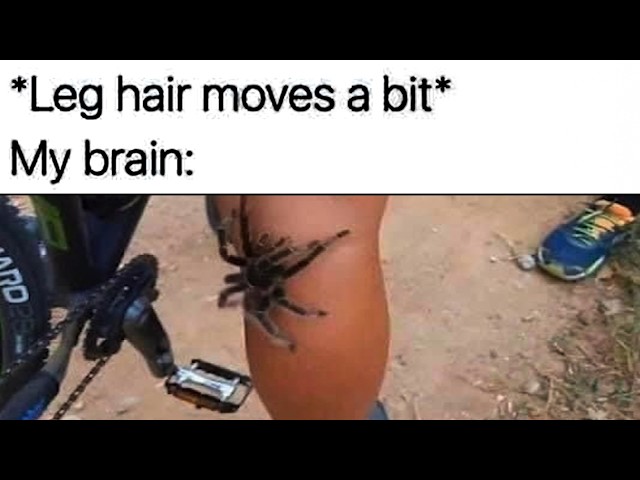 Memes Which Are Kinda Relatable