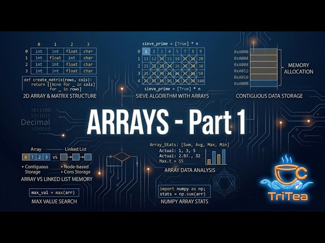 Arrays in Programming: Searching vs Sorting Explained
