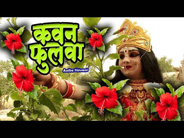 #VIDEO - Kawan fool rope Maliya || कवन फूल रोप मलिया - देवी पचार || Anita Shivani #devipachra 2024 .