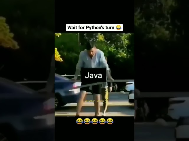 Wait for python's turn | Python vs Java | Meme