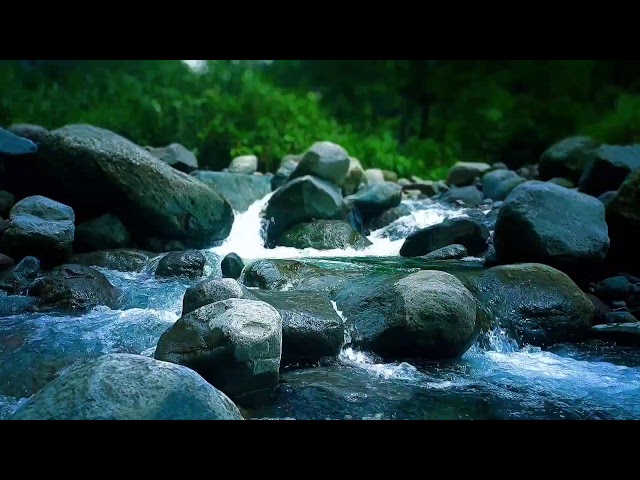 Serenity by the River Sleep Sounds: Deep Relaxation, Insomnia Relief & Calm Nights