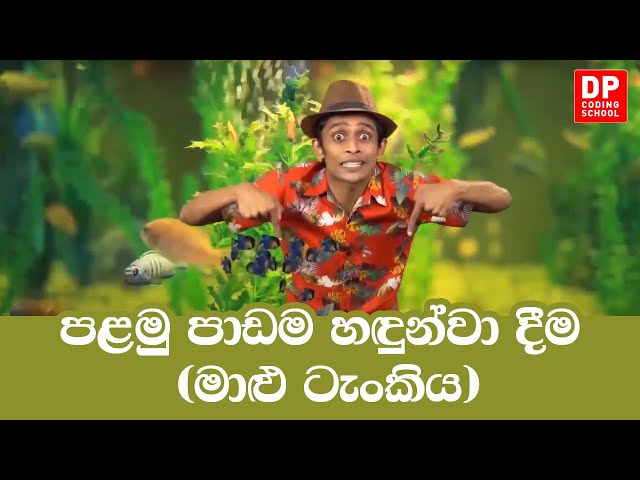 Introduction to the coding project Fish Tank || මාළු ටැංකිය පාඩම හඳුන්වා දීම | Video 1