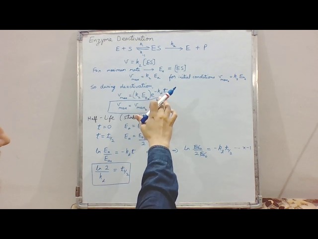 Enzyme Deactivation kinetics