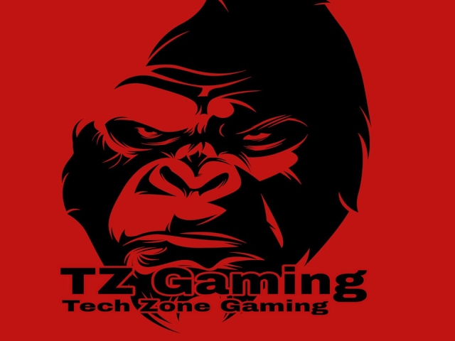 TECH ZONE GAMING