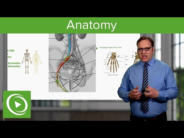 How to Master Human Anatomy 🧠📚 – Course Preview | Lecturio