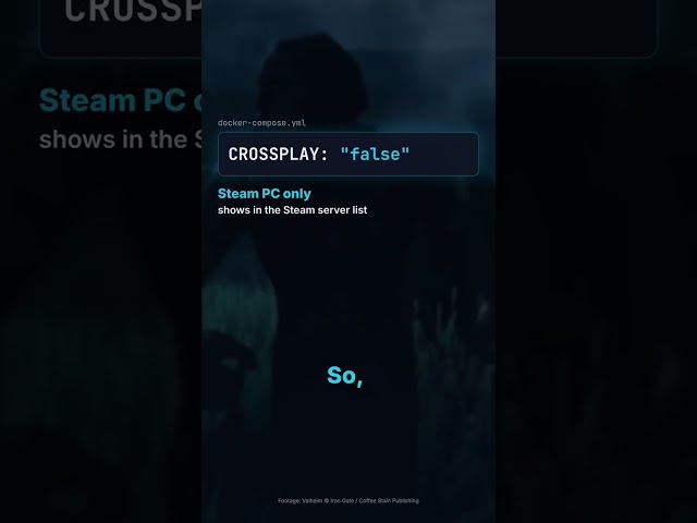 Crossplay made my Valheim server vanish from Steam (here is why) #shorts