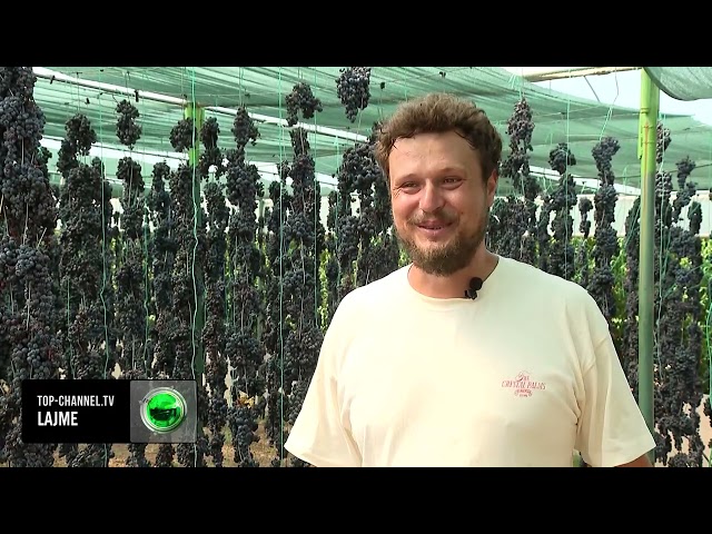 Top Channel/ Verë nga rrushi i thatë, "Amarone" prodhohet për herë të parë nga kantinat shqiptare