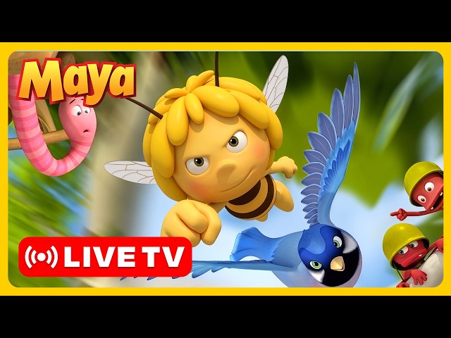 🔴 ¡EN VIVO! La Abeja Maya Latino  – ¡Maya al rescate! 🐝 Dibujos animados y videos para niños