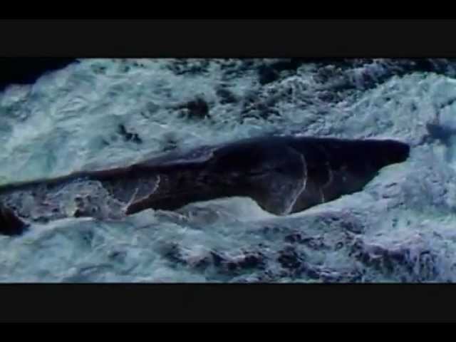 Scorpene SSK AIP Submarine - DCNS