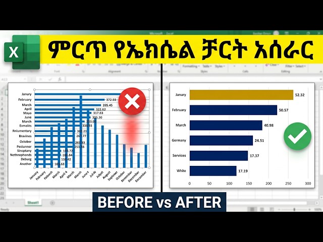 Professional Column and Bar Charts in Excel (Step-by-Step) | ኤክሴል በአማርኛ