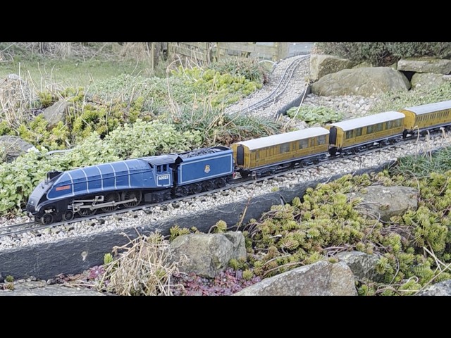 Motive Power on our 0 gauge garden railway