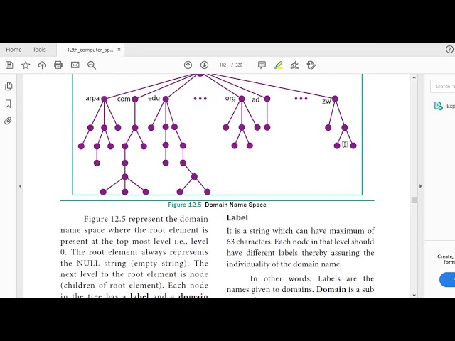 Components of DNS