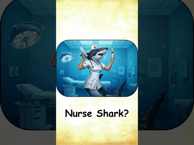 Top Literal vs Real Meaning of English Compound Words