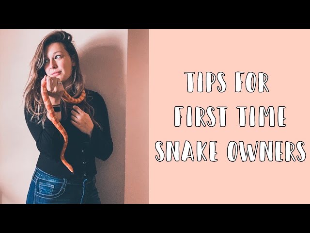 Tips for First Time Snake Owners!