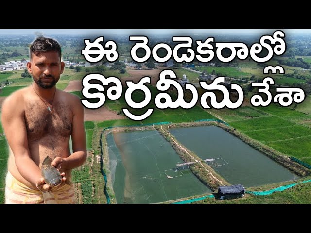 Growing korramin on 2 acres for 2 years | Rythu Badi