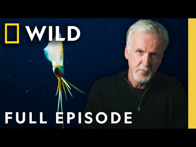 Giants of the Deep (Full Episode) | OceanXplorers | Nat Geo Animals
