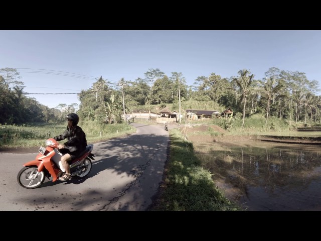 360 video: Rice Terraces in Tegalalang, Bali, Indonesia
