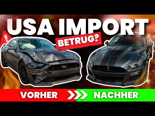 USA Import Mustangs! 🇺🇸 The bitter truth behind cheap salvage deals!
