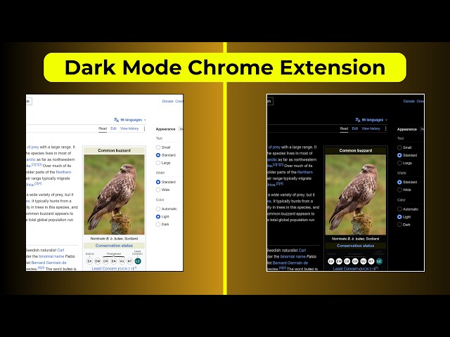 Build a Dark Mode Chrome Extension | Content Scripts Explained