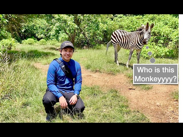 We Visited the Best Zoo in Congo | Lubumbashi Zoo