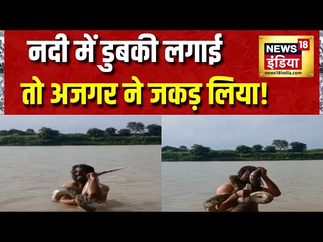 MP News: नदी में डुबकी लगाई तो अजगर ने जकड़ लिया! Vidisha News | News18 India
