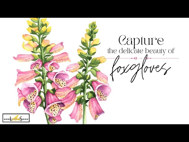 OUTLINE AVAILABLE! Painting with Passion and Purpose: How to Paint Jaw Dropping Watercolor Foxgloves