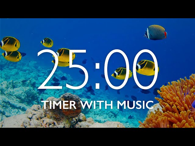 25 Minute Timer with Relaxing Music and Alarm 🎵⏰