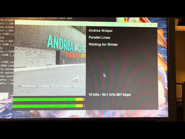 WiiM VU Example in Python