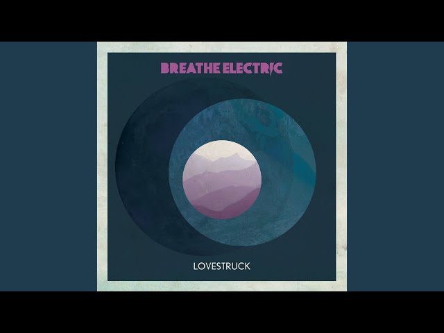 Electronic Lover