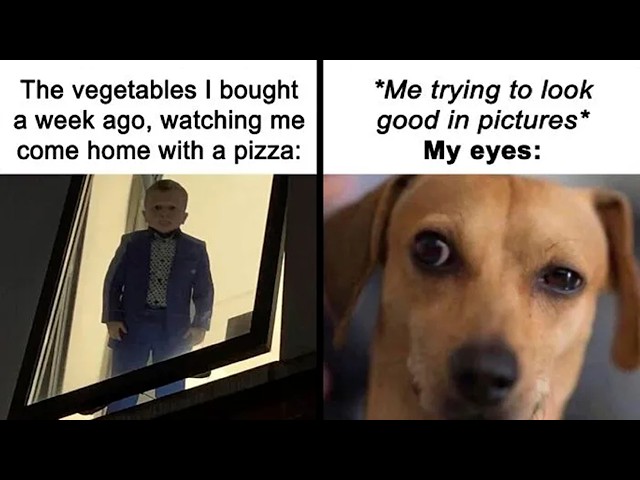Hilarious Memes That Will Make You Forget Your Stress | HahaHub