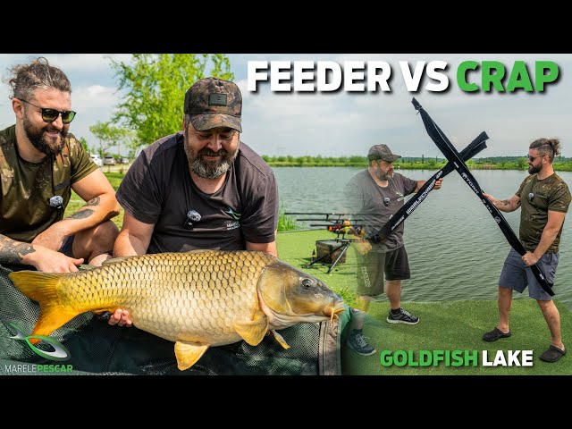 Feeder VS Crap | Anelin Enache VS Ionel Iancu - GoldFish Lake | MarelePescar