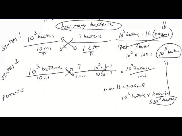 Basic Lab Math