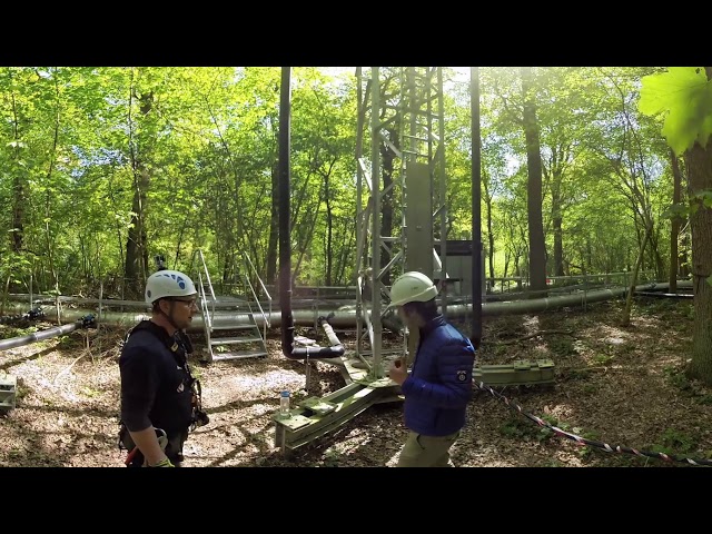 BIFoR Sci-fi Forest 360 Tour