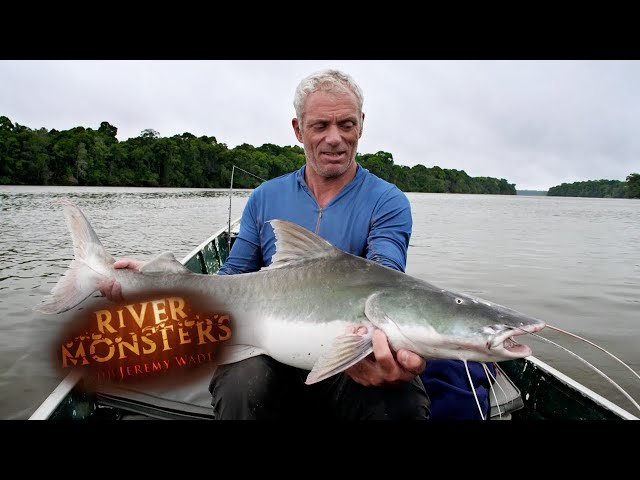 Face To Face With The Mythical Piraiba | SPECIAL EPISODE | River Monsters