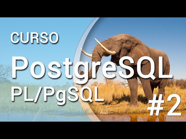Curso PL/PgSQL #2: Variables