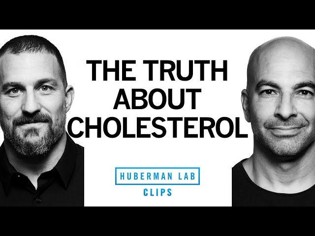 The Truth About Dietary Cholesterol | Dr. Peter Attia & Dr. Andrew Huberman