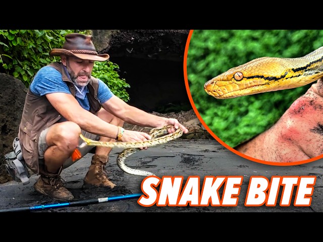 Bitten by a Python in Bali's Cave of Nightmares!