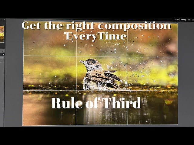 Master your Picture Composition :Subject Position | Rule of 3rd | photography Tips and tricks
