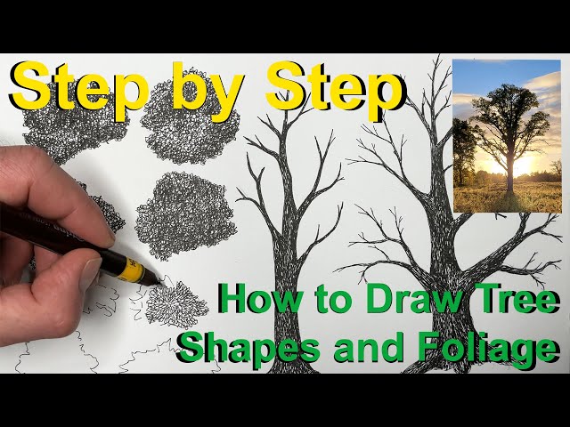 How to Draw Trees & Simple Foliage Step-by-Step | Easy Tree Drawing Tutorial