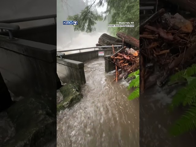 Flooding around western WA surpassing record levels #atmosphericriver #pnw #news #flooding