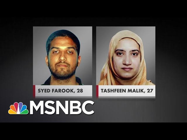 Who Was Tashfeen Malik? | All In | MSNBC