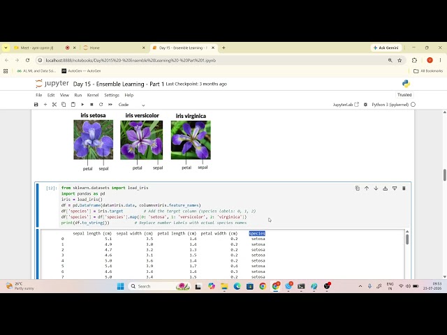 Day 16 - Ensemble Learning | Bagging, Boosting, AdaBoost, Gradient Boosting & Stacking